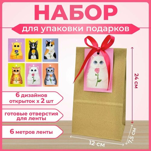 ���� �������� ����� ������ ���������� ���������� ��� ��������, ����� ������� ����������� �� ���� ��������, ����� ���, 8 �����, 23 �������, � ������ 12 ��, ������ ������