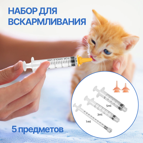 ���� ����� ��� ������������� ������������� �����, �����, �������, ������ ������