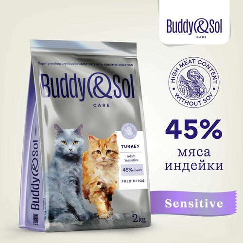        Buddy&Sol 2  -      -     , -  