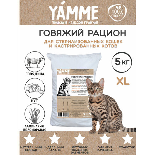    YAMME       5      -     , -  