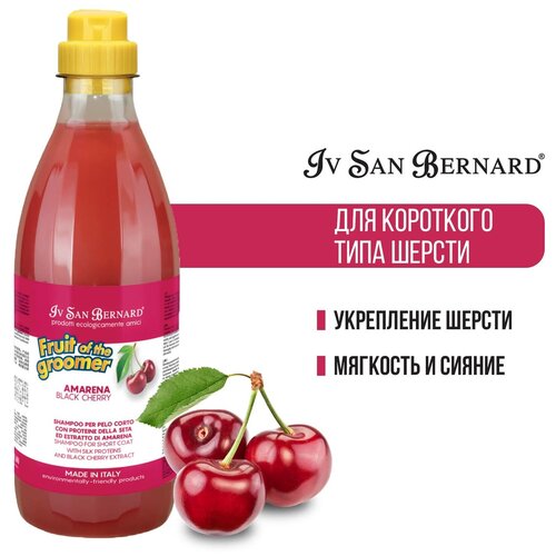   - Iv San Bernard Fruit of the Groomer Black Cherry           , 1  , 1    -     , -  