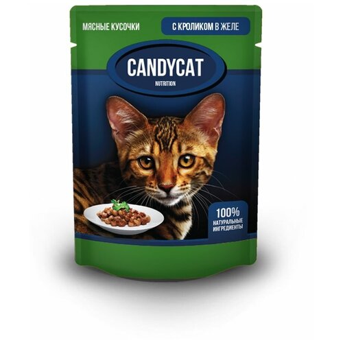     CANDYCAT   , 85   24    -     , -,   