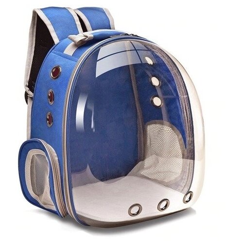 ���� ������-��������� ��� ����� � ����� (�����), ������ ������