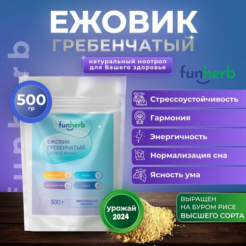 ���� ������ ����������� �������� ���, ������� ������, ���������, ������ ������