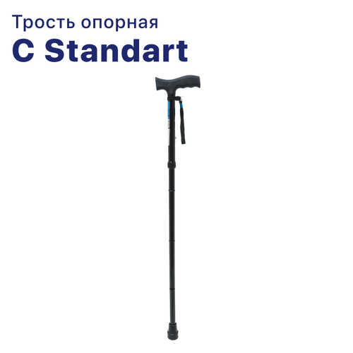  C Standart      -   ()  ,       -     , -  