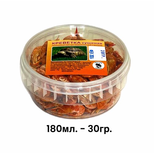 ���� �������� ��������, ���� ��� �������, ���� ����������� � �������� ���, ��������. ��������� ��� ���� � �����., ������ ������