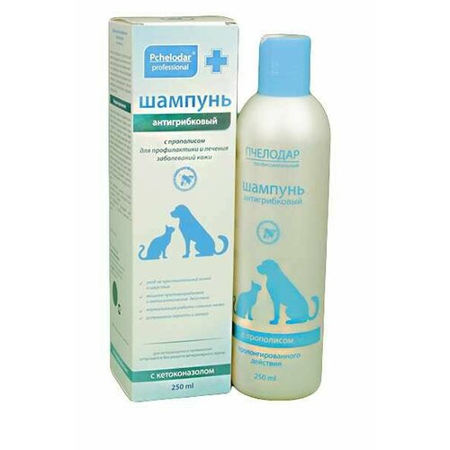 ���� �������� - ������������� ������� � ������������� ����������������� �������� ��� ��������, ������ ������