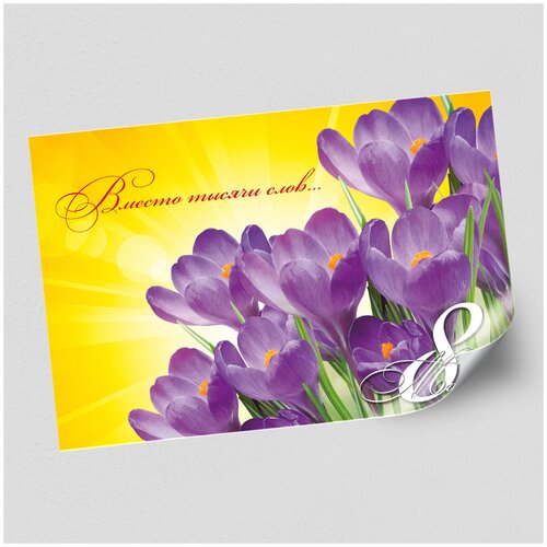 ���� ����������/������ �������������� �� 8 �����, ������ �-1 (84x60 ��.), ������ ������