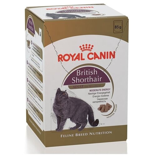     Royal Canin British Shorthair Adult      ,  85, 24   -     , -,   