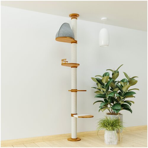 ���� ���������� ��� ����� �� ������� � ������ �� ������������ ���� 260-275 �� Catsby Family Tree, ������ ������