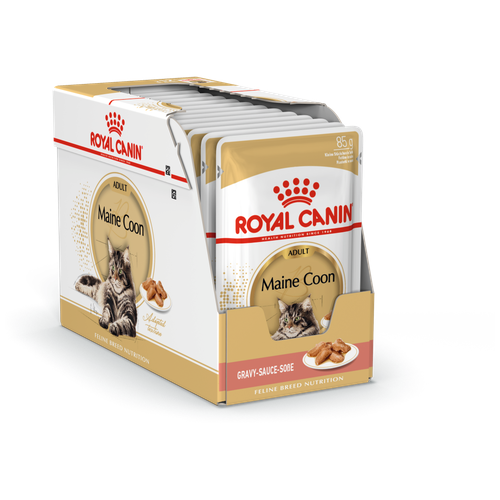     Royal Canin Maine Coon Adult (  )        , , 24x85   -     , -  