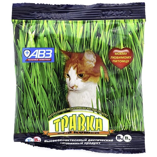 ���� ��������� ��� �����  ������������� ������, ����� ����� �������� ����, 30 � �����, ������ ������