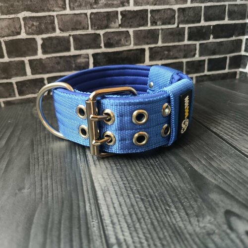 ���� ������� ������� DOGTON ��� ����� ������� � ������� �����. ��������� ������. ��� �������� � �����������. ������ 5 ��. ����� � ����� ��������� ������ 43-57 ��., ������ ������