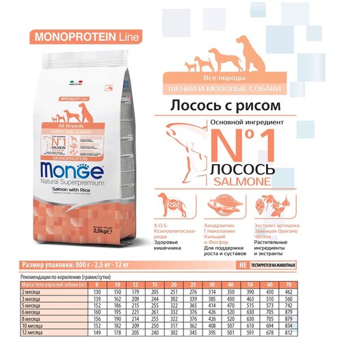  Monge   / Monge Monoprotein Puppy and Junior /     /      /    / 12    -     , -  