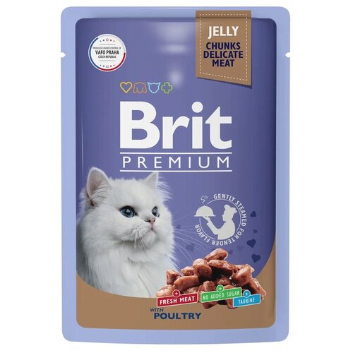   Brit Premium         85   -     , -,   