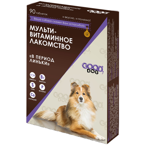  Good Dog  c      90   -     , -,   