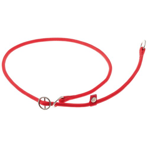 ���� �������� ���� ������� ZooOne (co ��������) � 2-� �������� ������� 6 ��, ����� �������� 80 ��, ������ ��� 80 ��, 1 ��., �������, ������ ������