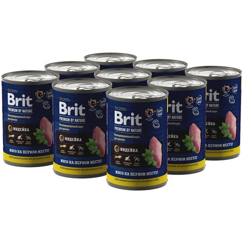  BRIT PREMIUM BY NATURE,       , 410  9      -     , -  