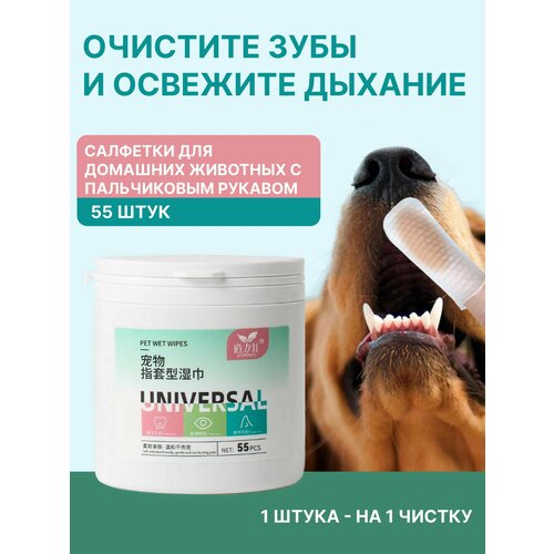 ���� ������� ��������-����������� ��� ������ ����� ����� ��������, ������� ����� ��� ����� �� �������� �������� ��� ����� � ����� 55 ����, ������ ������