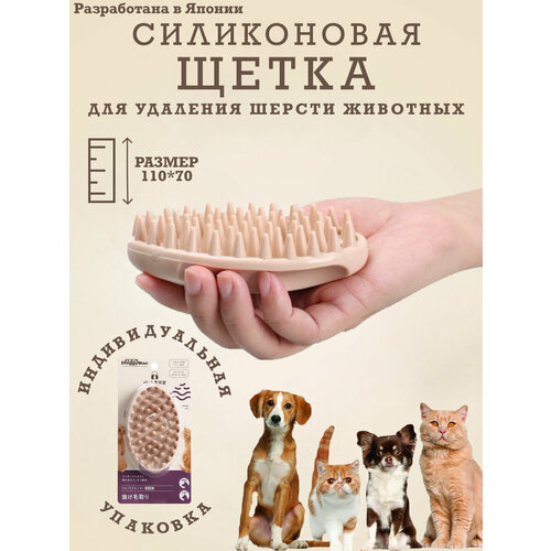 ���� C���������� ����� ��� ����� � �����. ��������, ������� ��� �������� ��������. ��� �������� ������. ���� ������ ����������, ������ ������