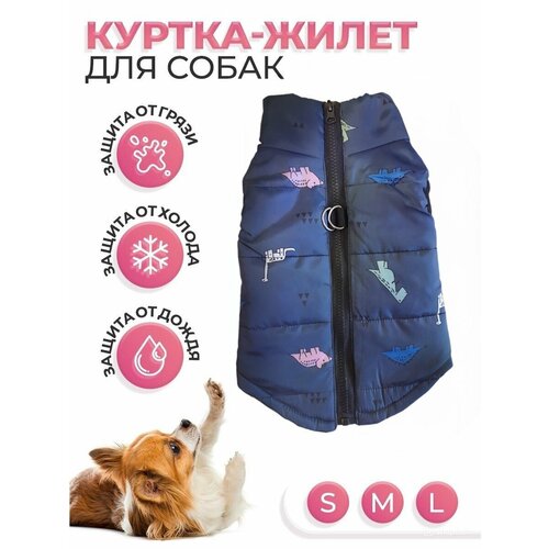 ���� ������/������/����� ��� �����/��� ��������, ������ ������