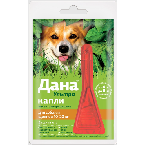 ���� Apicenna ������� �� ���� � ������ ���� ������ ��� �����, ������, �����, ��� �������� �������� 1 ��., ������ ������