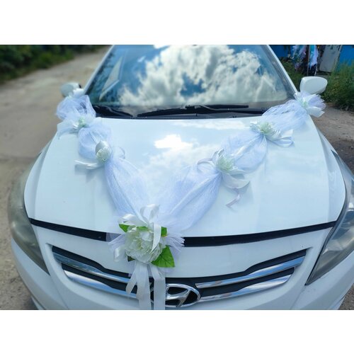 ���� ��������� ���������� ����� �� ������ 