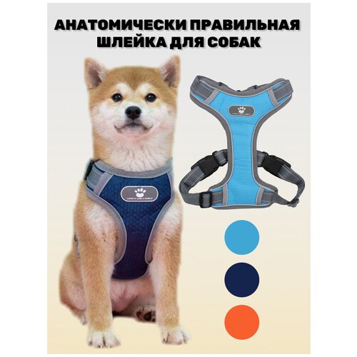 ���� ������ ��� ����� ������, ������� � ������� �����, ����������� �������������, ��� �� 50-��, ���� ����-������� - M, ������ ������