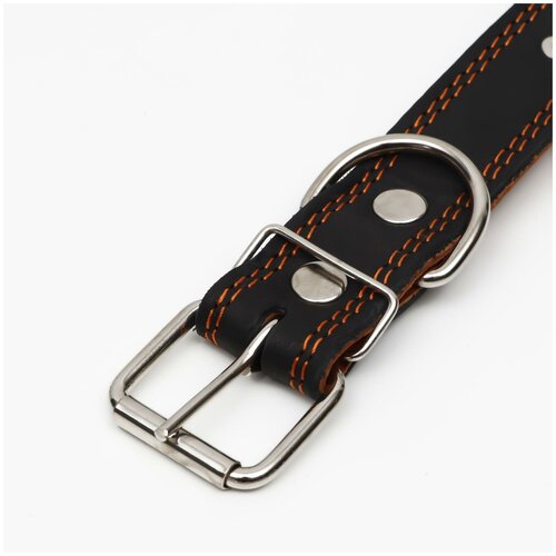 ���� ������� ������� 