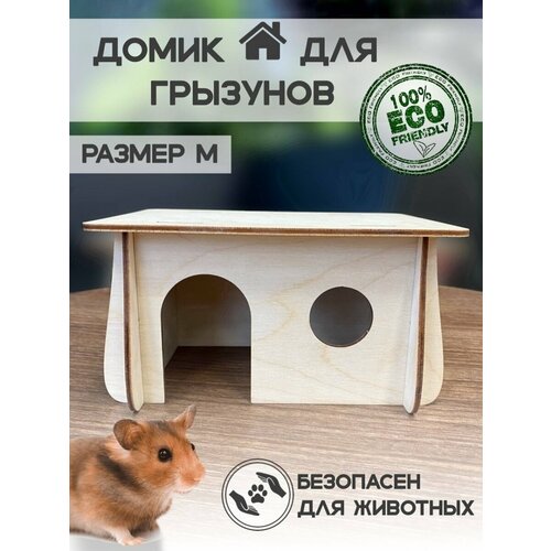 ���� ����� ��� �������� ��� ��� ������� �� Bee Yeva, ������ ������