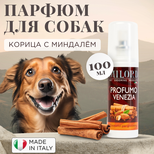 ���� ���� ��� ����� c ������� �������� ������, ������� � ������, ������ ��� �������� Milord Venezia, ����������� ������, 100 ��, ������ ������