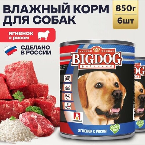       BIG DOG    6  850   -     , -  