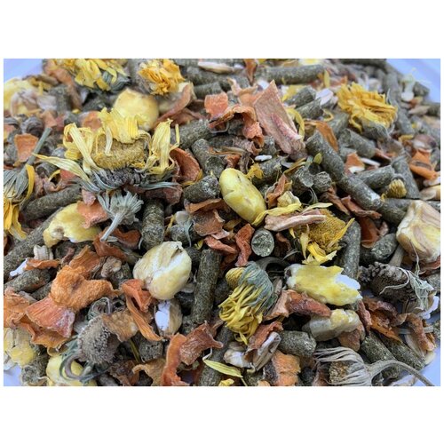 ���� ���� ��� ������� ������ 