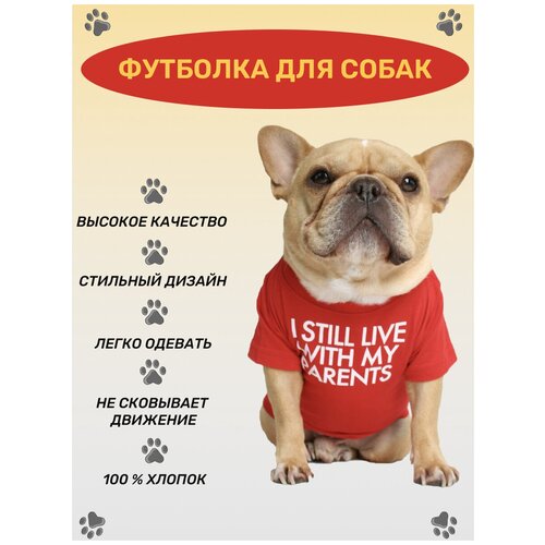 ���� �������� ��� ����� ������ � ������� �����, ��� �����, ��� �����, ��� ������ � �����. ������ ��� ����� � �����. ������-L, ������ ������