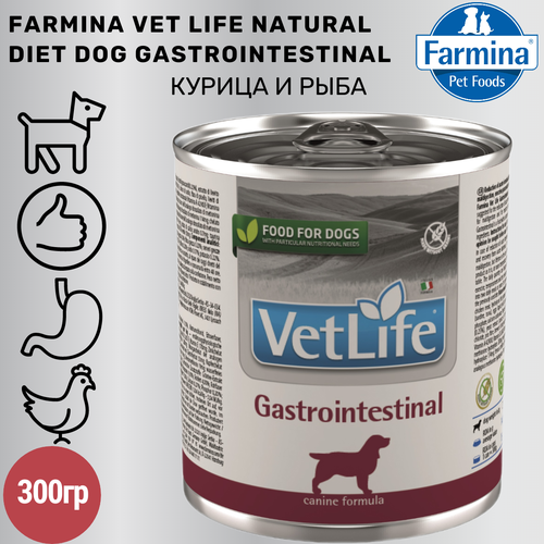  Farmina Vet Life (  ) Gastrointestinal        300    -     , -  