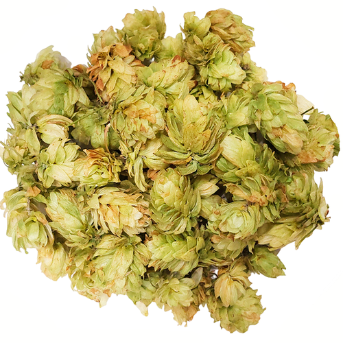 ���� ����� �����, ������������� ����� 10�., ������ ������