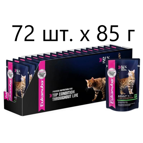      Eukanuba Top Condition,      ,  , 72 .  85  (  )   -     , -  