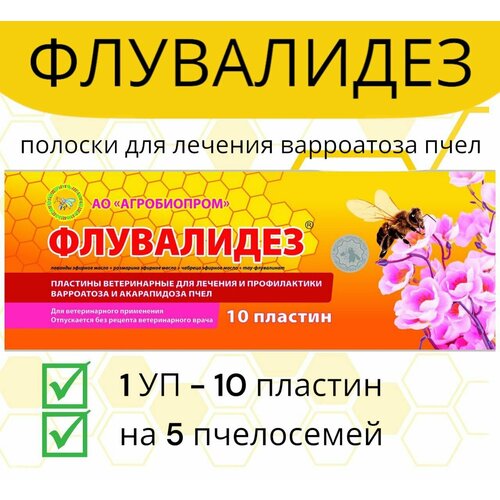 ���� ������� ���������� 1 �� / �������� �� ���������� � ����������� ����, ������ ������