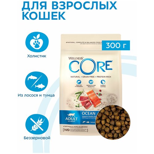  Wellness Core      (  ) 300   -     , -,   