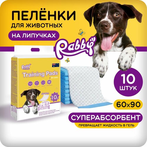      RABBY 60x90   10   -     , -  