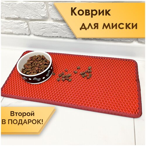 ���� ������ ��� ����� / ������ ��� �������� ��� ���� ������� (�������� �� 2� ���� 25�50��), ������ ������