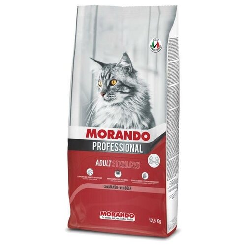       Morando Professional Gatto,  , 12,5    -     , -,   