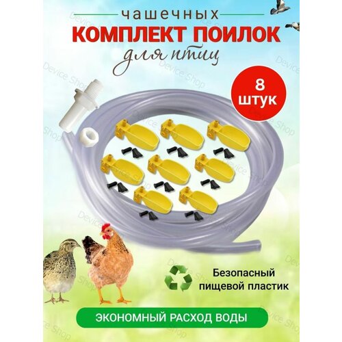 ���� �������� �������� ������ ��� ��������� ���������, ������ ������