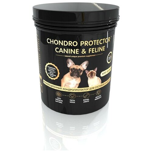    iPet Chondro protector Canine&Feline 30    -     , -,   