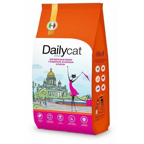  Dailycat Casual       ,    - 10    -     , -,   