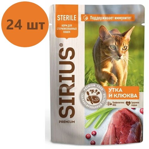    SIRIUS   ,   ,   , 24   85    -     , -  