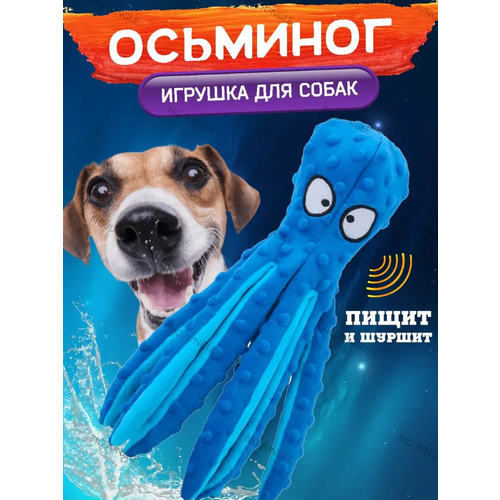 ���� ������ ������� ��� �����, �������� 