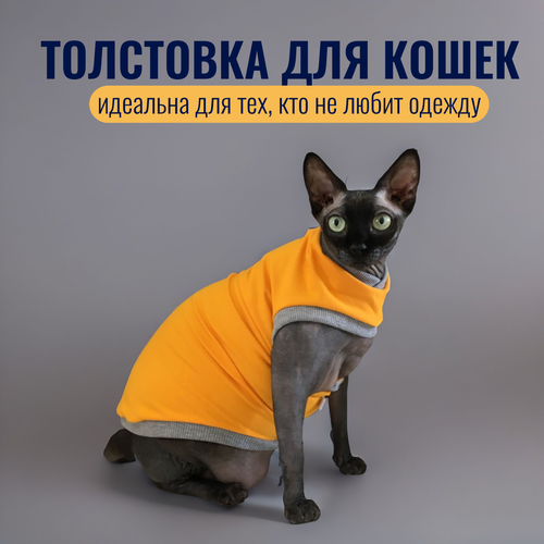 ���� ������ ��� ����� XS Emmy Stil, ������ ������