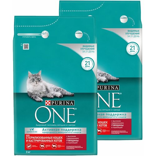  PURINA ONE            (3 + 3 )