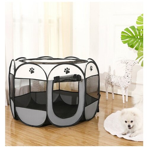 ���� ������ ��� �������� 